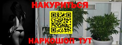 каннабис Дубна