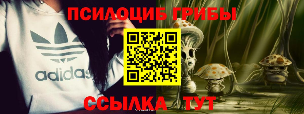 Галлюциногенные грибы Magic Shrooms Ликино-Дулёво