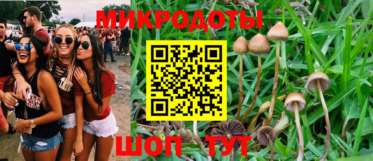 Ликино-Дулёво  Псилоцибиновые грибы мухоморы  Вход с VPN 